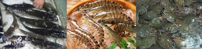海鮮